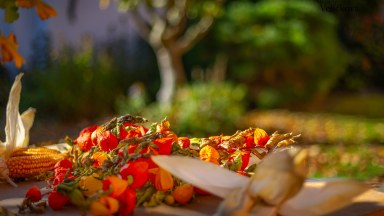 Útulný rodinný dům s chalupářským rázem – Stará Skřeň, Nový Bydžov