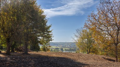 Prodej úchvatného pozemku určeného k výstavbě luxusní vily na Novém Hradci Králové, ulice Zámeček