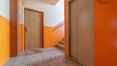 Prodej zrekonstruovaného bytu 3+kk/3+1 v Hradci Králové - Formánkova ulice (Moravské Předměstí)