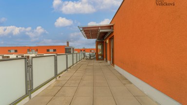 Pronájem pěkného bytu 3+kk včetně parkovacího stání v Hradci Králové- ulice K Meteoru 