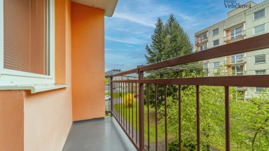 Zrekonstruovaný byt 3+1 v Hradci Králové, ulice Pod Zámečkem