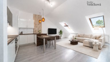 Prodej novostavby podkrovního bytu 3+kk s parkovacím stání v Milovicích (okr. Nymburk)